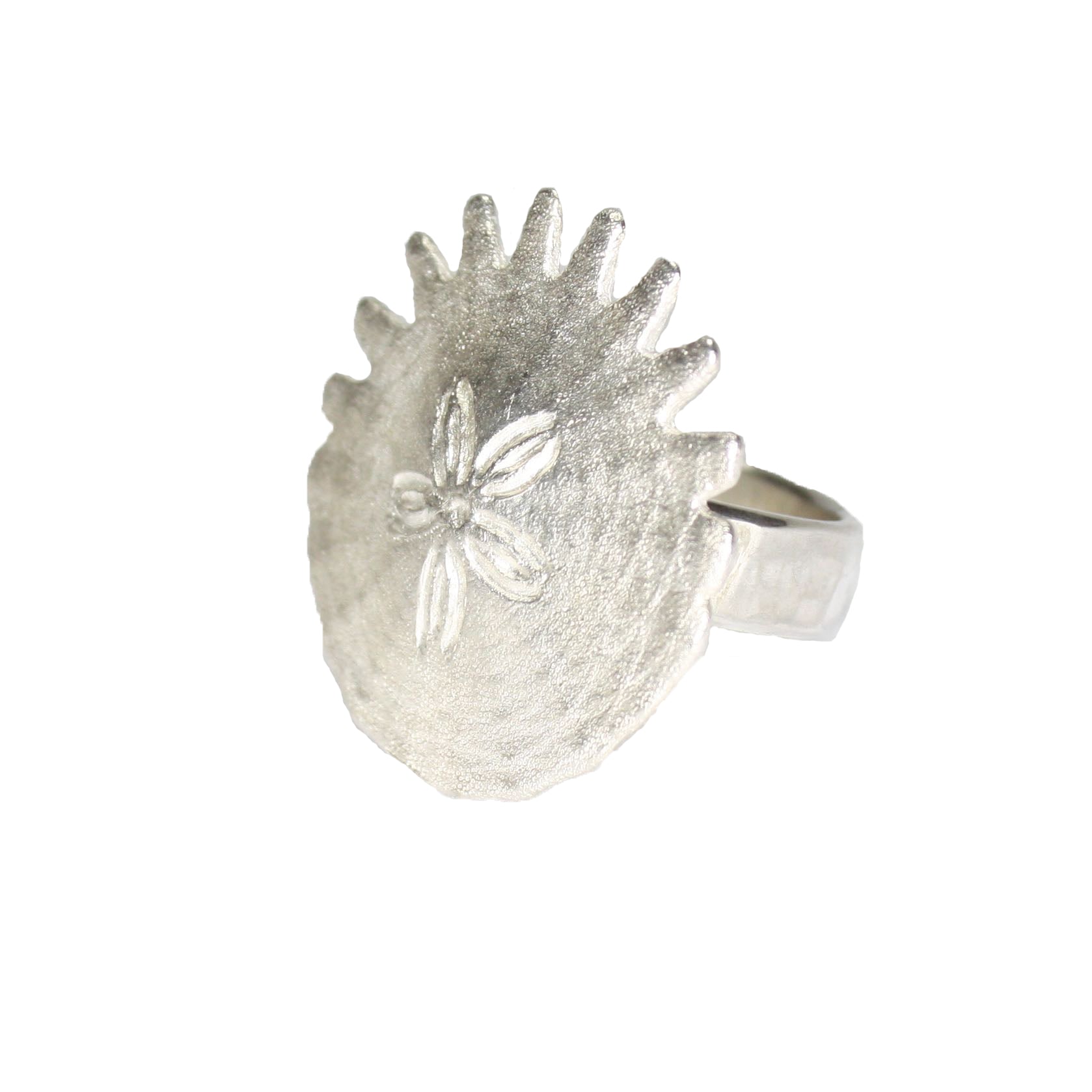 Fossilien Ringe